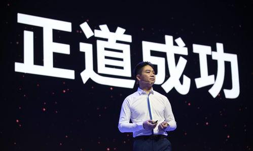 天涯爆料刘强东视频,天涯爆料背后的真相与争议  第2张